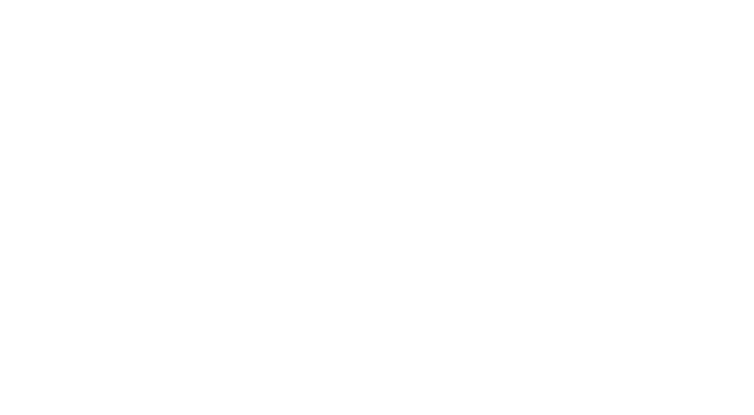 SDR Bau GmbH white logo